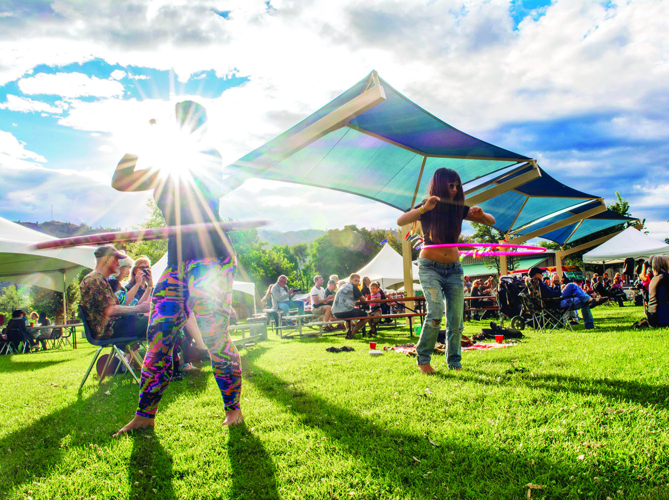 Rock and Roll Picnic a new fundraiser for Oliver's Roots and Fruits