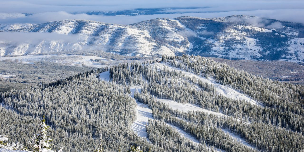 Snowmobilers on Baldy a ‘huge safety issue’