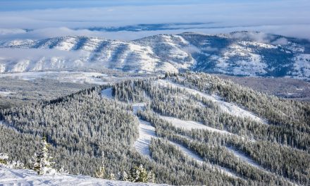 Snowmobilers on Baldy a ‘huge safety issue’