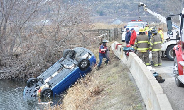 Two escape, dog and pig dead in single-vehicle accident on Road 22