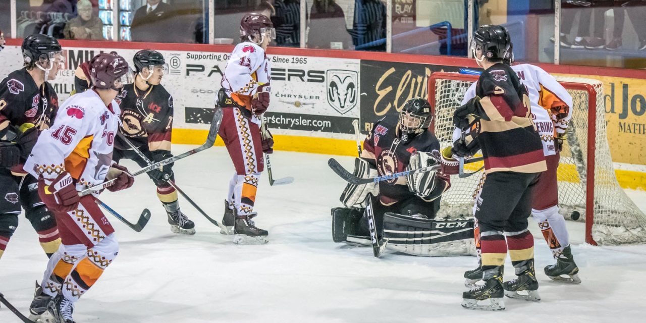 Coyotes hand out awards at annual banquet