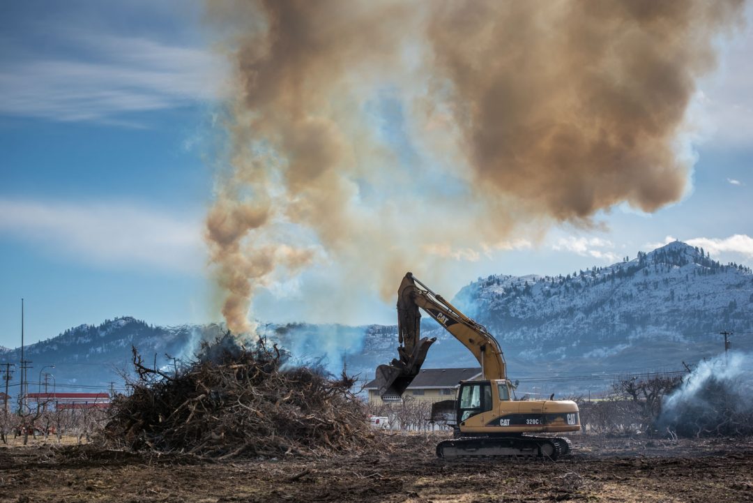 Osoyoos man hopes proposal can end agricultural waste burning
