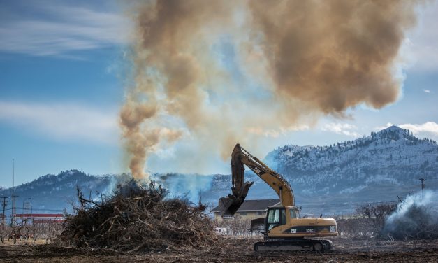 Open burning banned in BC Interior