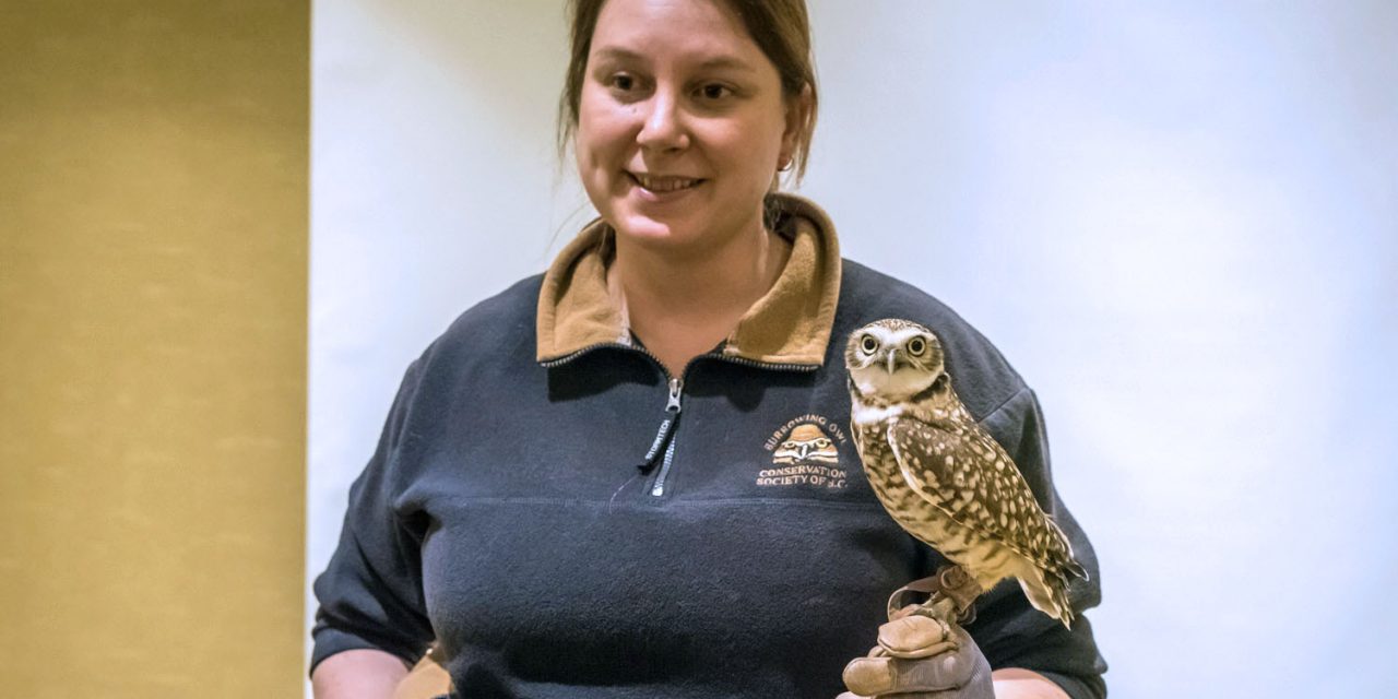 Pluto the burrowing owl makes appearance at Desert Society event