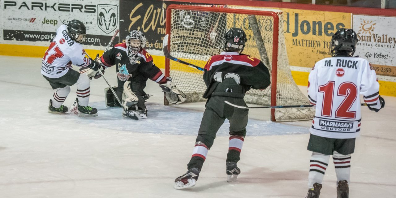 Atom Development B Sun Devils win hockey championship