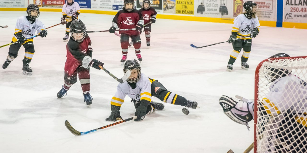 Novice hockey players participate in weekend tournament
