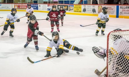 Novice hockey players participate in weekend tournament