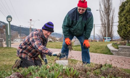 Pioneer Walkway cleanup signals spring is here