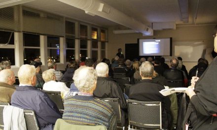 Solar energy users share stories of going green at public meeting