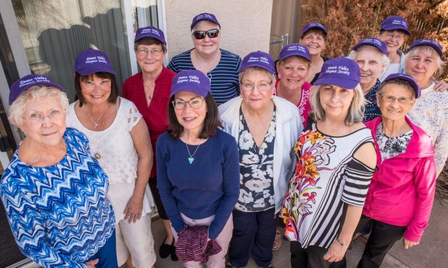 DVH annual fundraiser featuring best of Abba