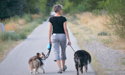 Be careful near Okanagan River, says province