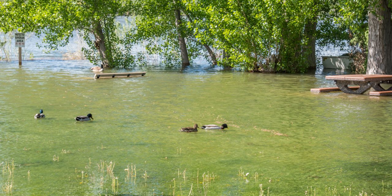 UPDATE: Lake, river levels fall as threatened rise fails to materialize