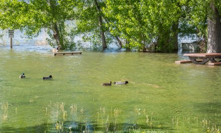 UPDATE: Lake, river levels fall as threatened rise fails to materialize