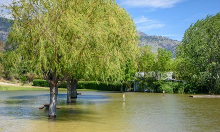 Evacuated residents returning home as lake level falls below 914 feet