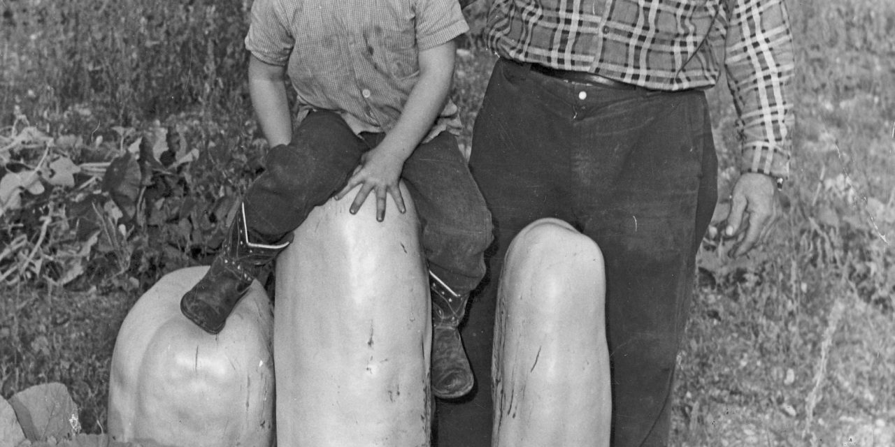 The Way We Were: Zucca melons were short-lived Osoyoos farming phenomenon in 1940s and 1950s