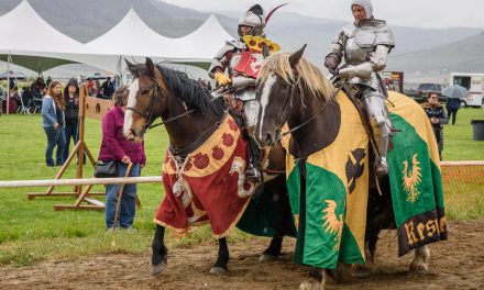VIDEO: A guided barn tour of medieval jousting with Radar Goddard of STALC