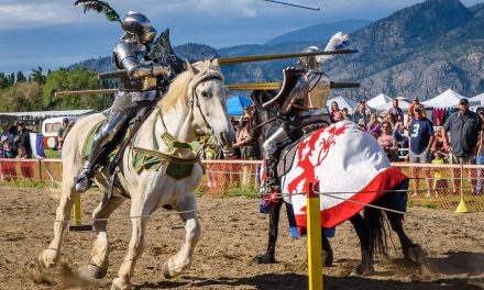 Hundreds turn out for medieval jousting over long weekend
