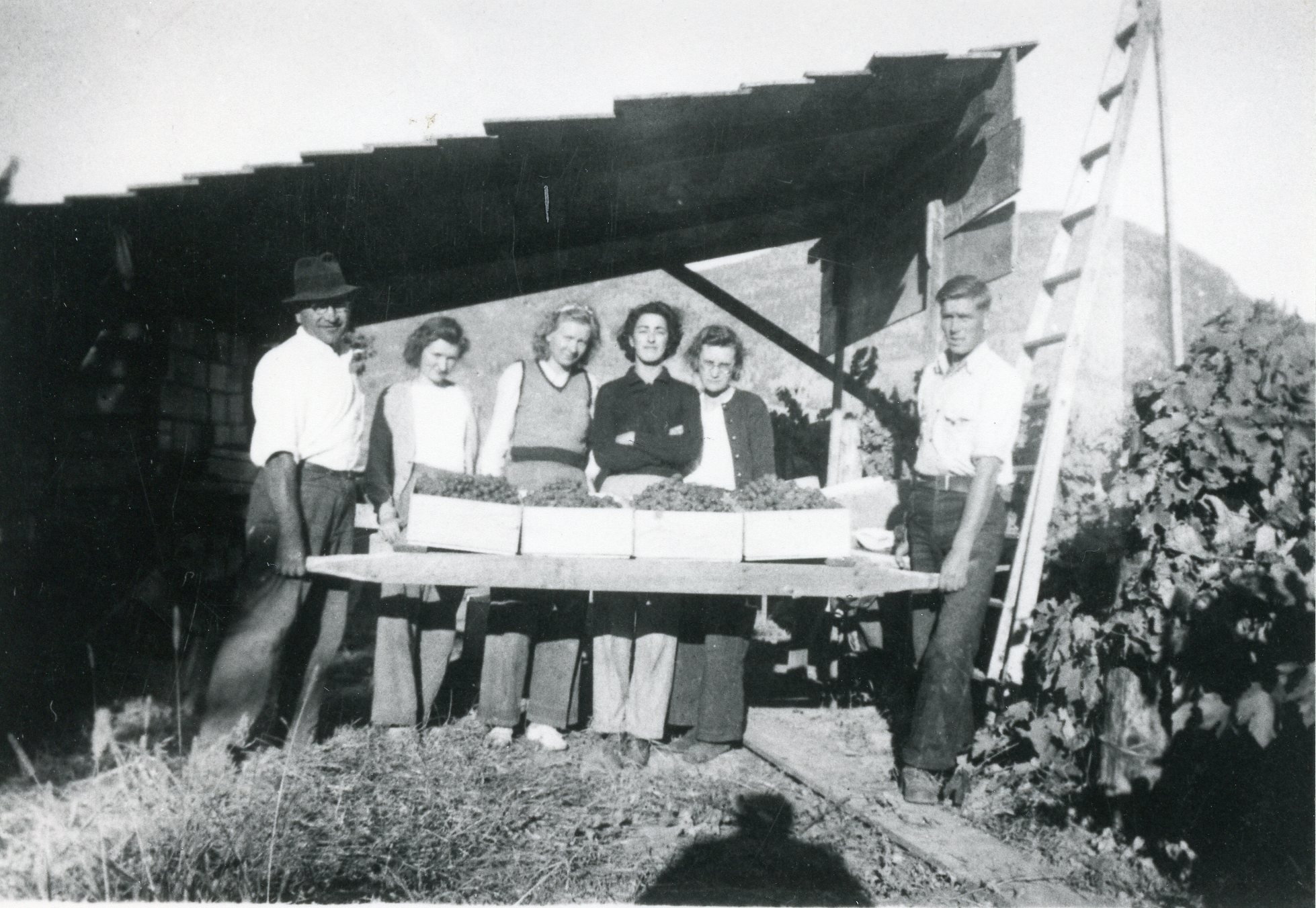 The Way We Were Cherry harvests have been occurring here for many