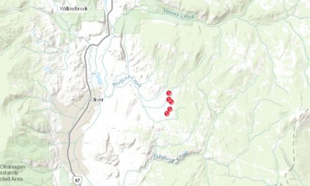 UPDATE: Fires burning east of Oliver under control