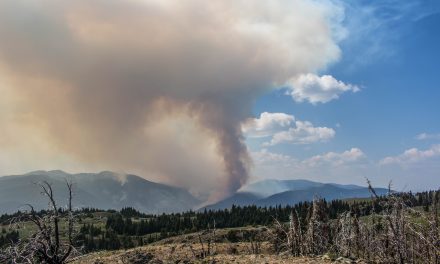 Fire crew deployed after Snowy Mountain blaze grows