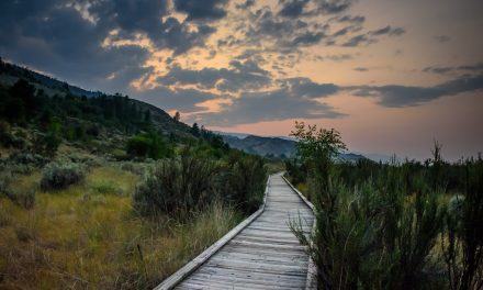 With shorter days, Desert Centre’s night tours are now a better chance to experience twilight