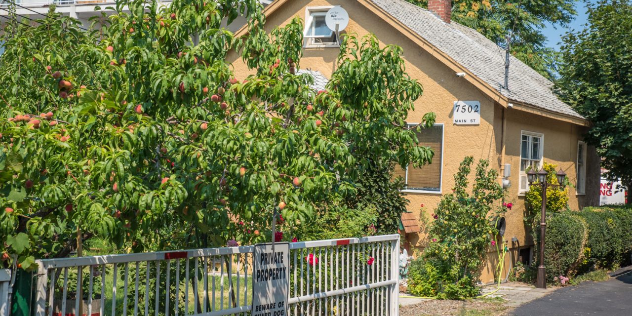 Town to let province lead consultation on new craft distillery in East Osoyoos