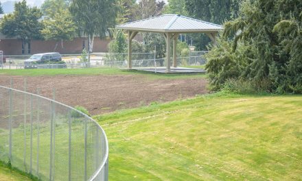 Dog park, ball courts to get washrooms
