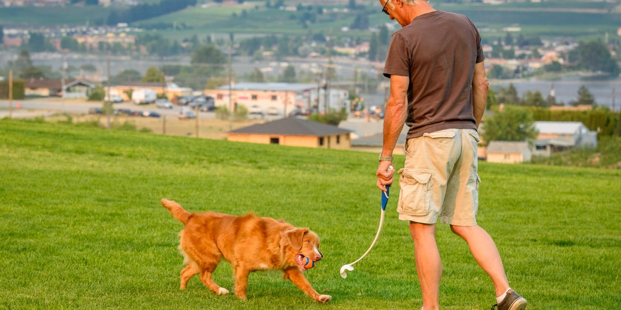 New dog park opening now just waiting on grass seeds to grow