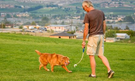 New dog park opening now just waiting on grass seeds to grow