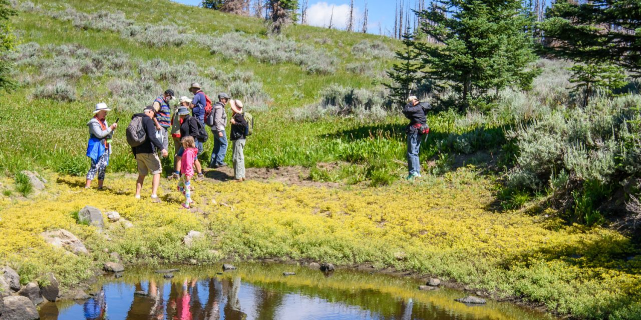 Local supporters celebrate Parks Day atop Mt. Kobau