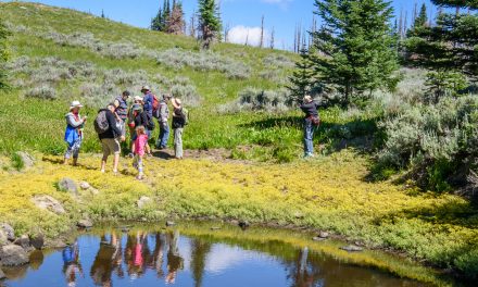 Local supporters celebrate Parks Day atop Mt. Kobau