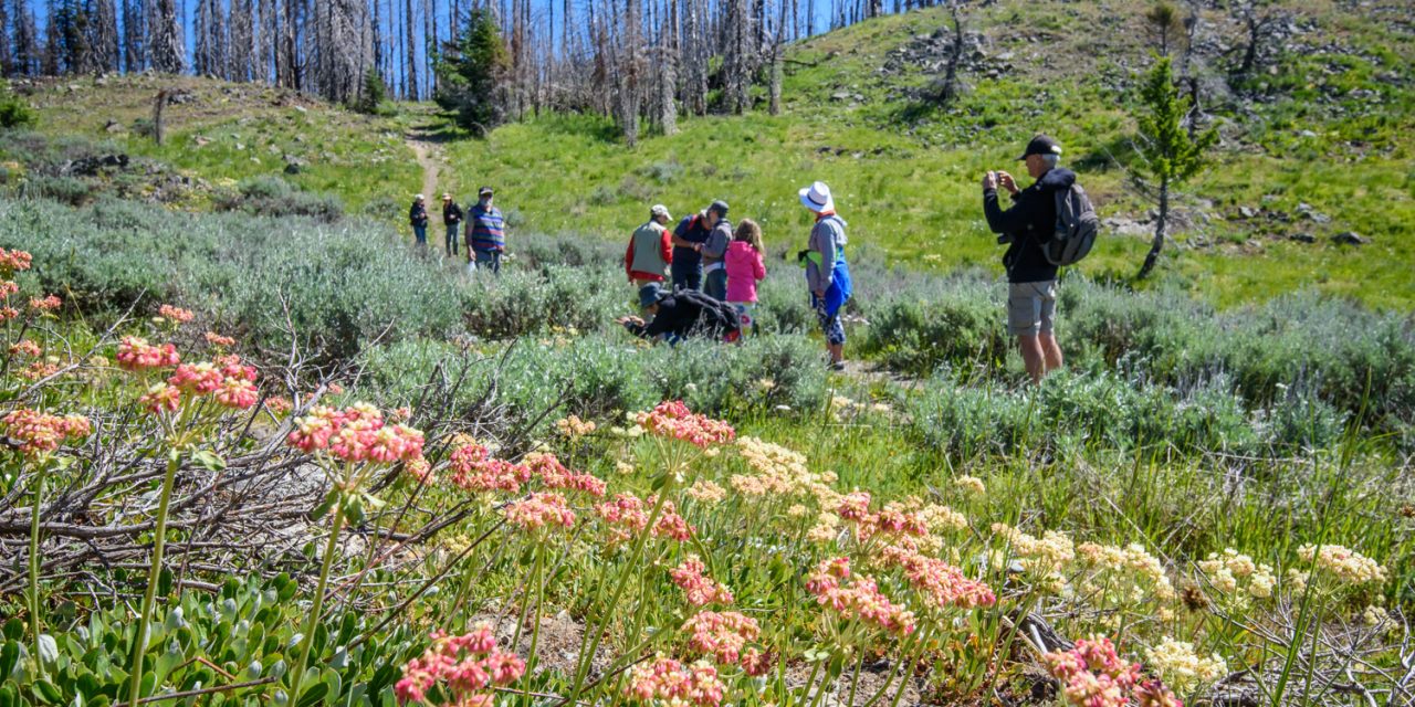 Focus of national park boundary talks is area from Mount Kobau to south