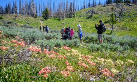 Focus of national park boundary talks is area from Mount Kobau to south