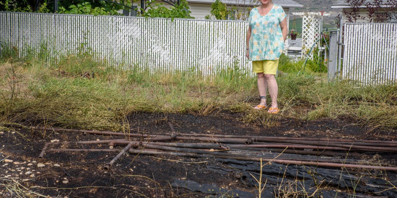 Bug invasion, fire hit local residents, but province denies responsibility