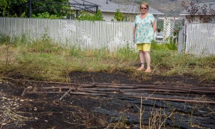 Bug invasion, fire hit local residents, but province denies responsibility