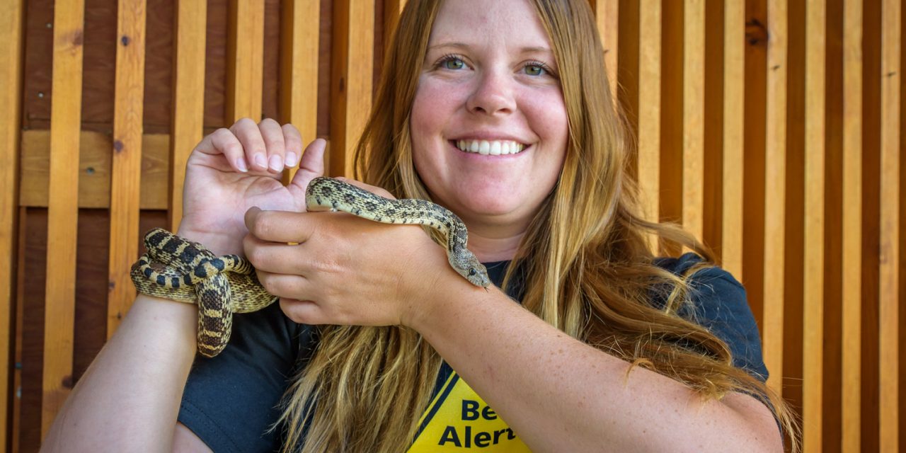 Nk’Mip plans special events to mark World Snake Day next Monday, July 16