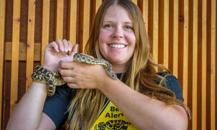 Nk’Mip plans special events to mark World Snake Day next Monday, July 16