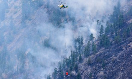 Snowy Mountain blaze grows to more than 12,000 hectares