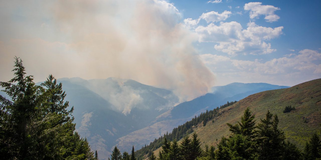 Wildfire update: Cathedral Park evacuated and Snowy Mountain fire doubles in size
