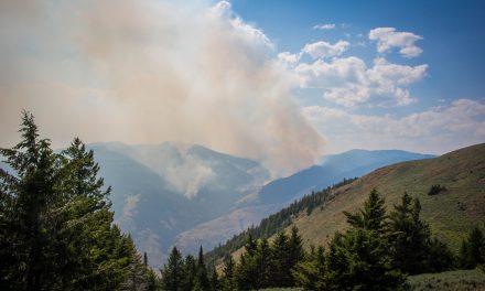 Wildfire update: Cathedral Park evacuated and Snowy Mountain fire doubles in size