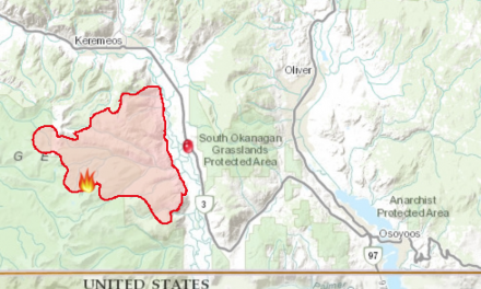 Snowy Mountain blaze nears 11,000 hectares as two new fires spark nearby