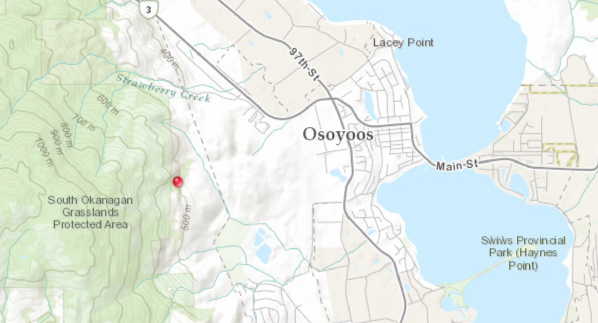Spot fire west of Osoyoos nearly extinguished