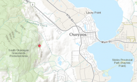 Spot fire west of Osoyoos nearly extinguished