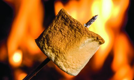Campfire ban lifted