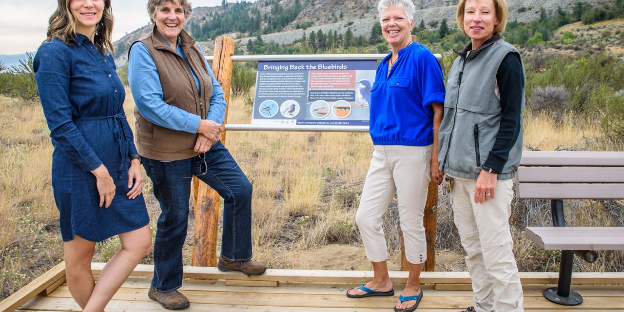 Bluebird platform has become popular attraction at Osoyoos Desert Centre