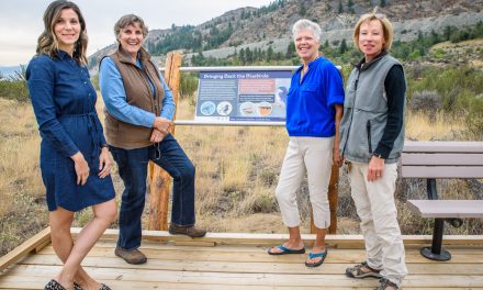 Bluebird platform has become popular attraction at Osoyoos Desert Centre