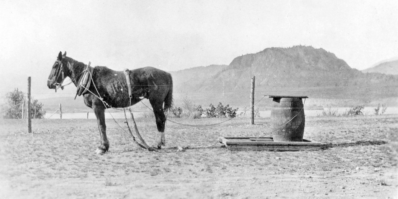 The Way We Were: Bringing water by horse and sledge