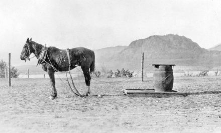 The Way We Were: Bringing water by horse and sledge
