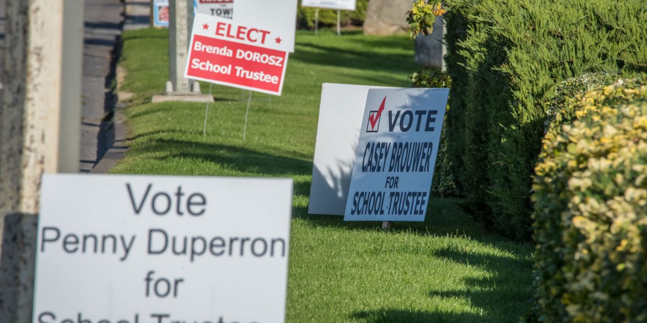 School board candidates – in their own words