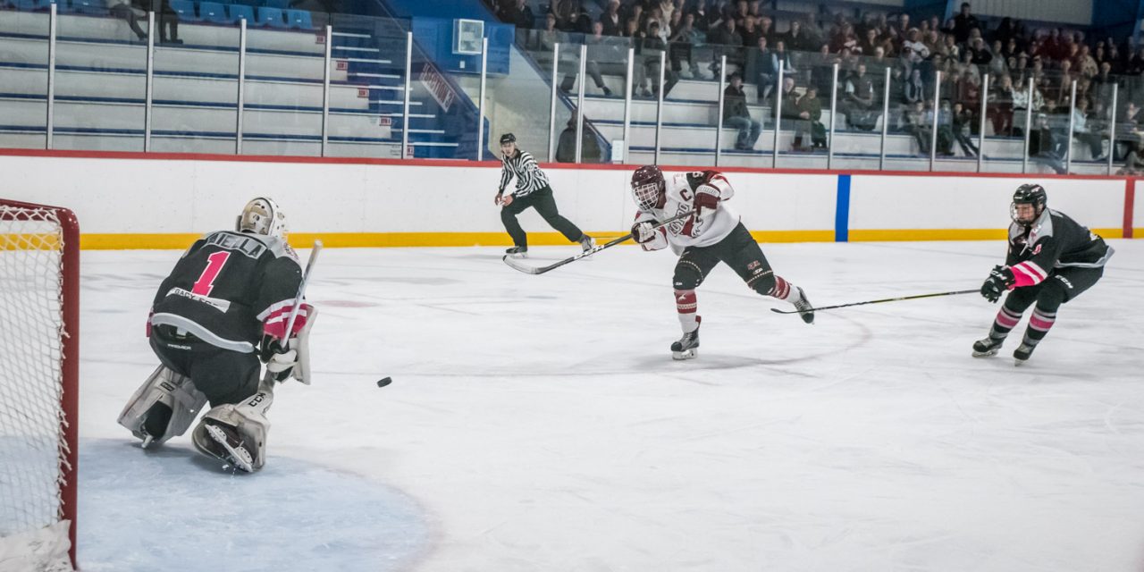Coyotes extend losing streak to seven games with two more weekend losses